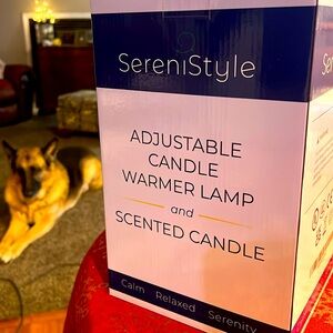 COPY - Candle warmer lamp